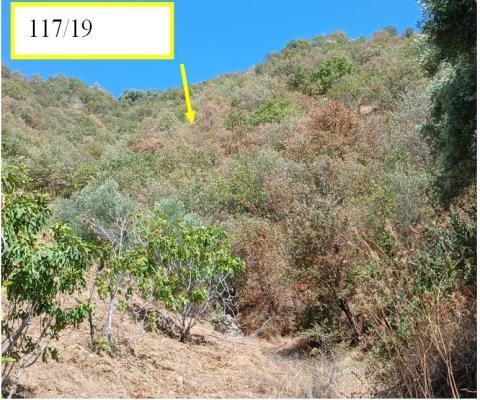 Arsa/Arazi - AYDIN NAZİLLİ - 23.038,97 m²