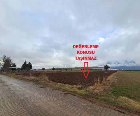 Denizli Acıpayam Satılık Tarla