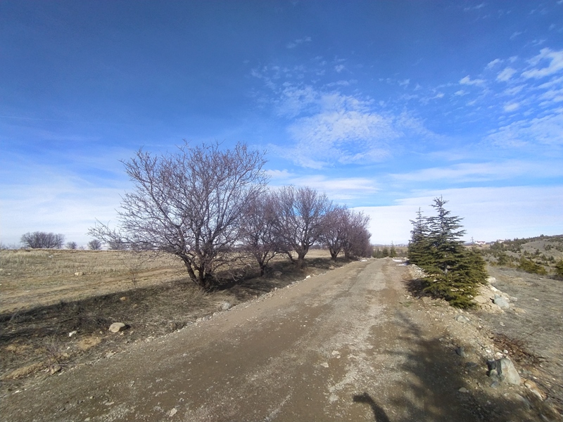 Satılık Tarla - Elazığ Merkez ilan görseli 22