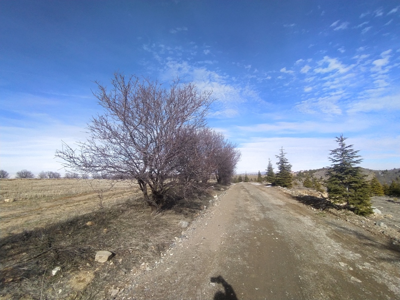 Satılık Tarla - Elazığ Merkez ilan görseli 24
