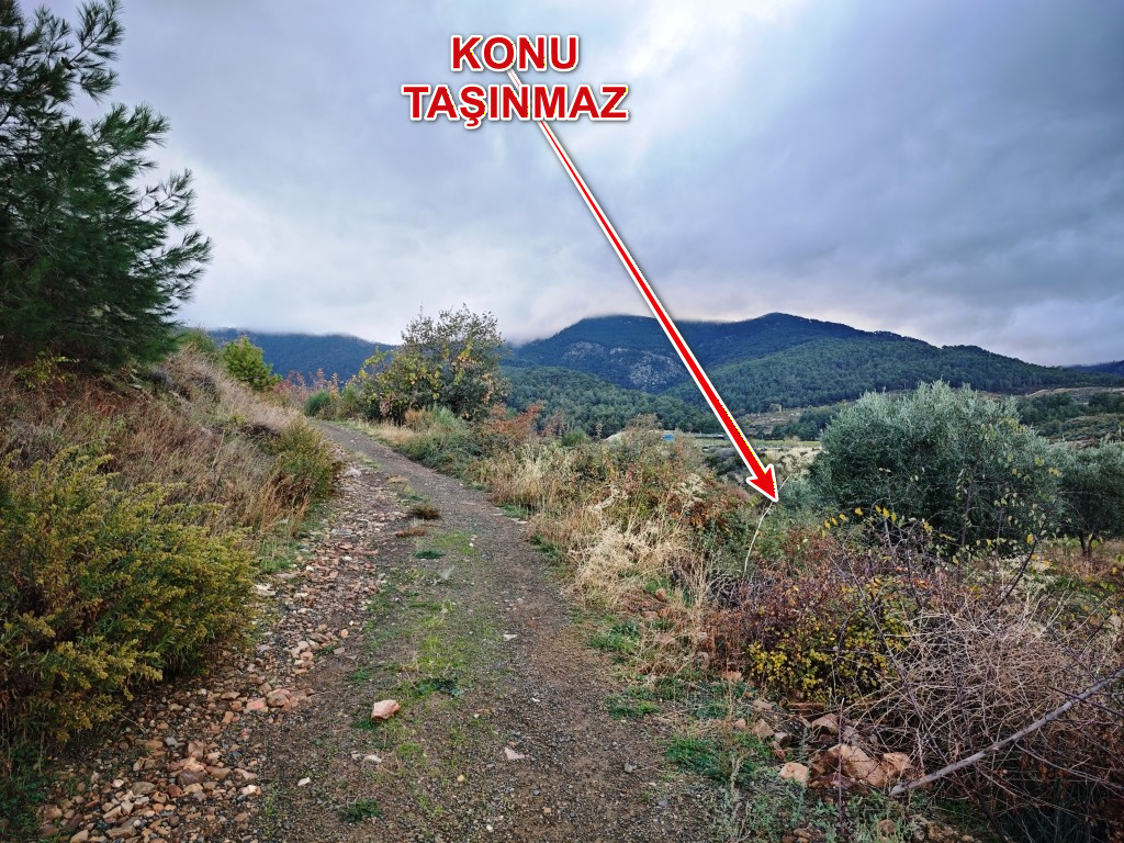 Arsa/Arazi - AYDIN KARACASU - 23.525,46 m²