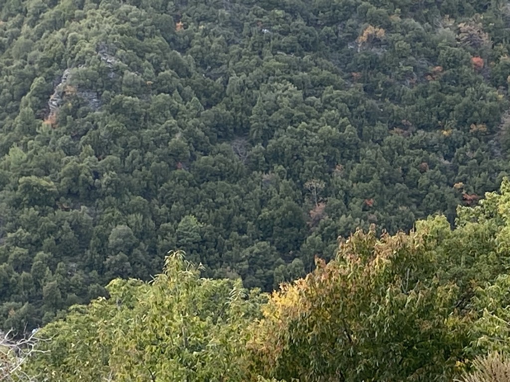 Görsel 5