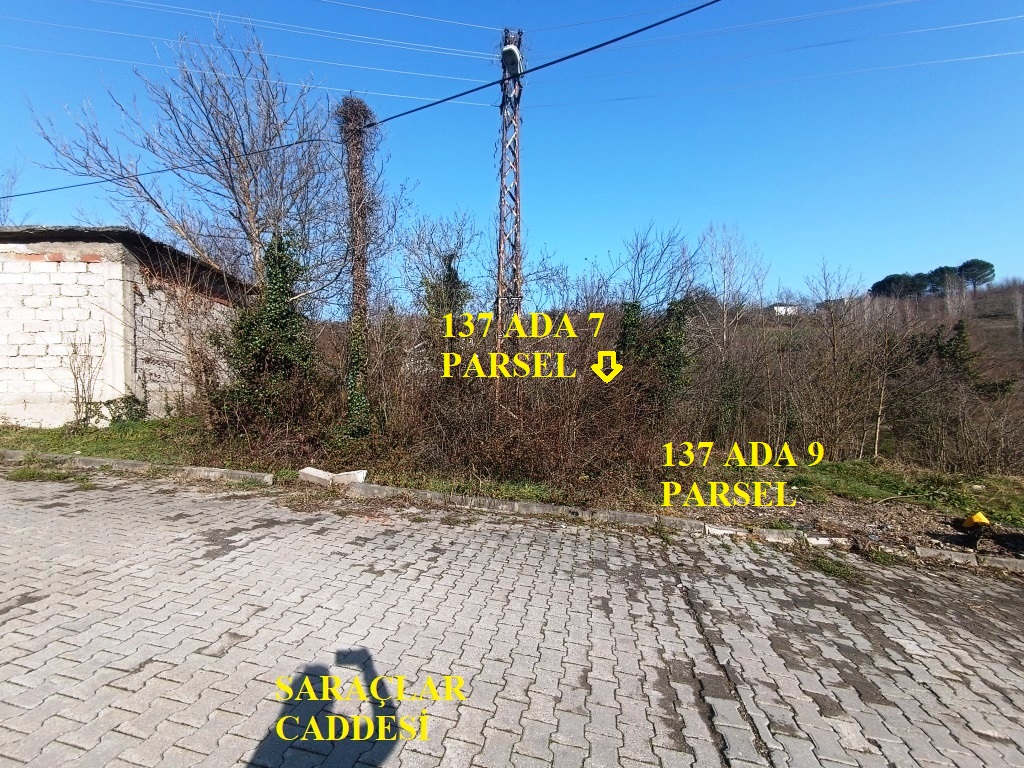 Görsel 3