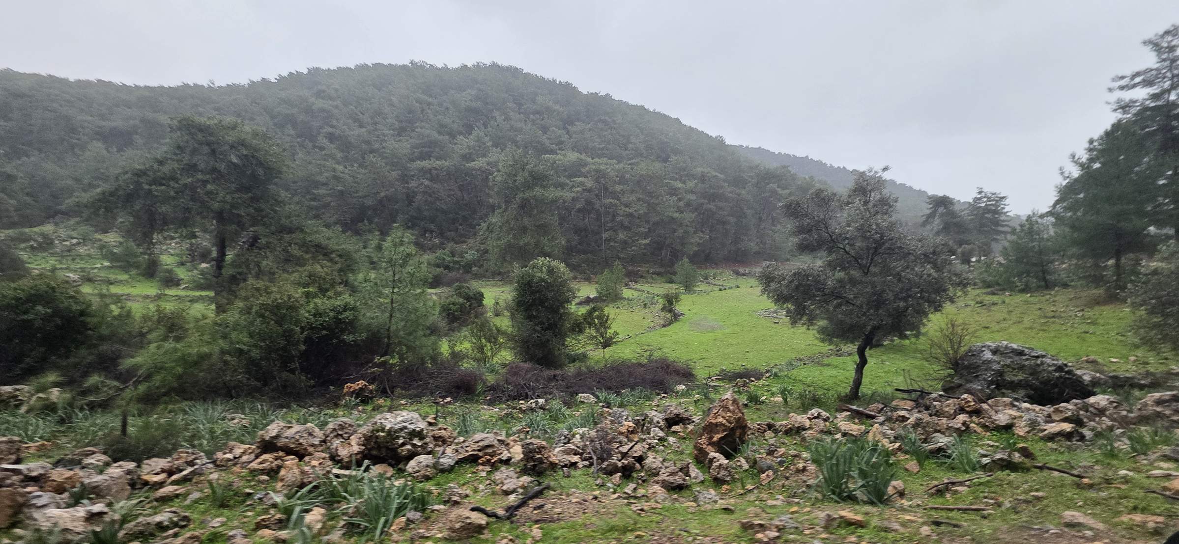 Arsa/Arazi - MUĞLA ORTACA - 27.403,59 m²