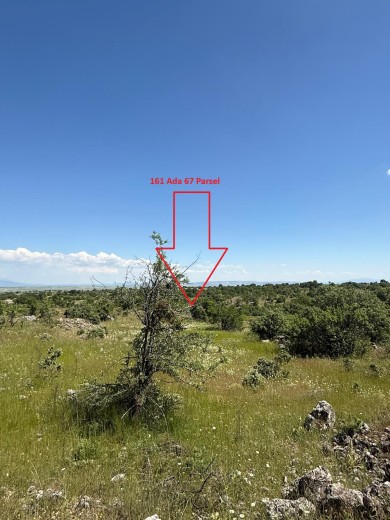 Uşak Merkez 4305.10 M2  Tarla — foto 4