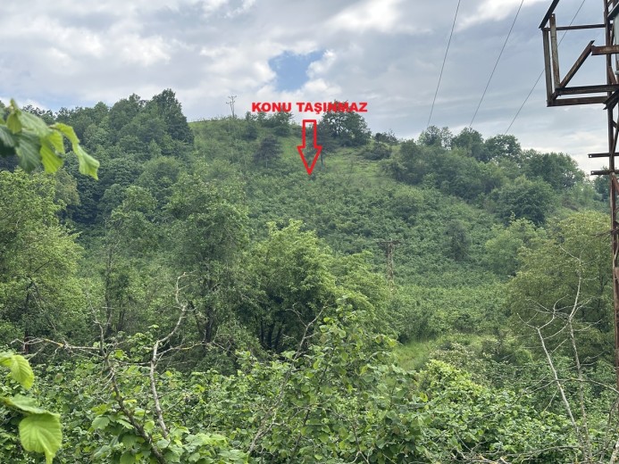 Düzce Merkez 6977,23 M2 Tarla — foto 4