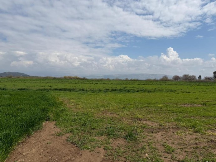 Hatay Kırıkhan 75848 M2  Tarla