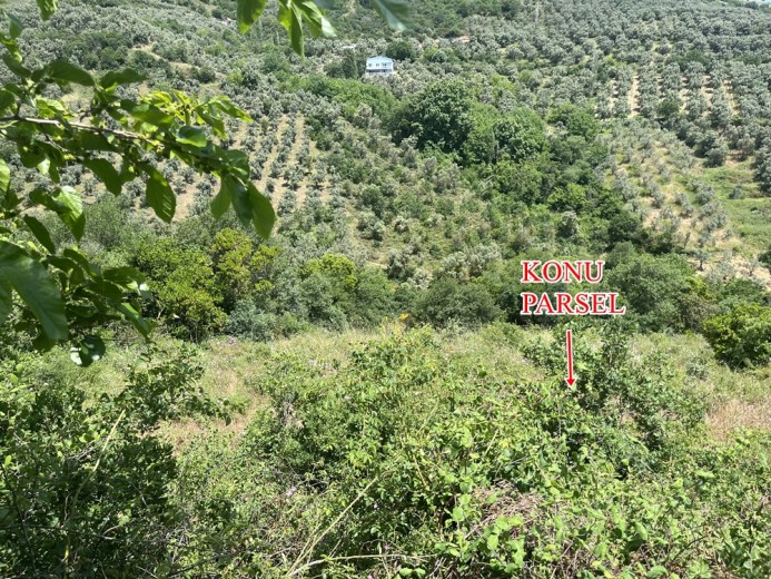 Bursa Orhangazi 5764.44 M2 Tarla — foto 4