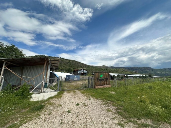 Bolu Seben 2352 M2 Kapalı Alanlı 9212,58 M2 Arazi