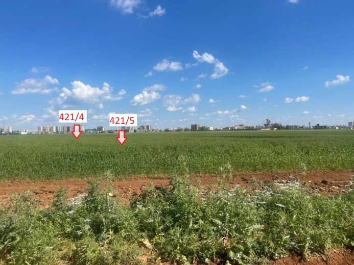 Mardin Kızıltepe 2064 M2 Muhtelif Arsa — foto 3