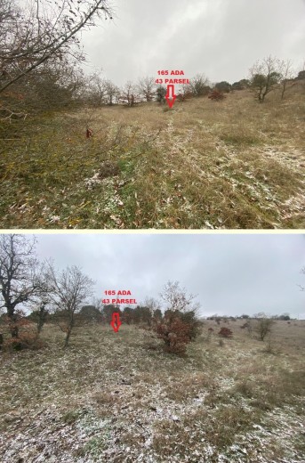 Balıkesir Altıeylül 518.93 M2 + Tarla — foto 4