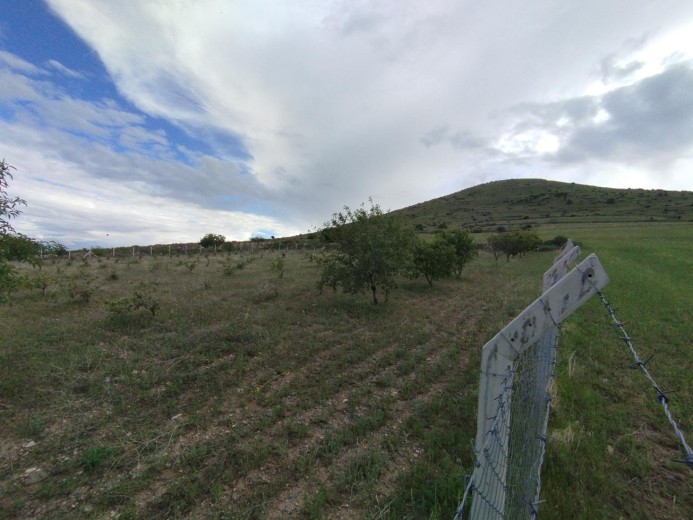 Kayseri İncesu 5124.98 M2 Tarla — foto 6