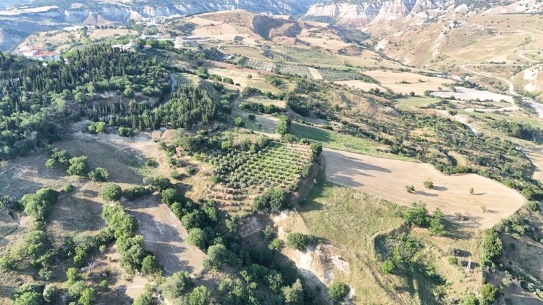 Denizli Babadağ 1.612. M2  Bağ — foto 2
