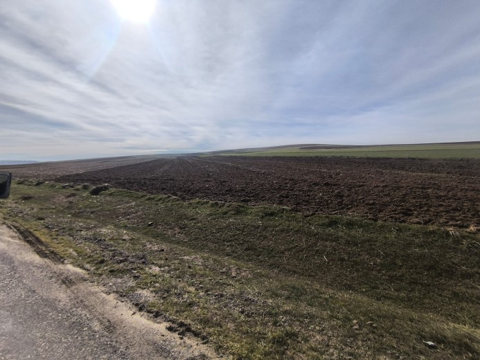 Yozgat Sarıkaya 15.000 M2 Tarla