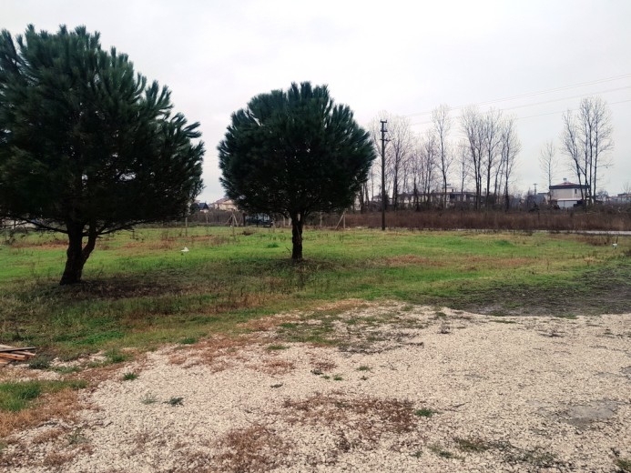 Samsun 19 Mayıs 522 M2 + Muhtelif Arsa — foto 6
