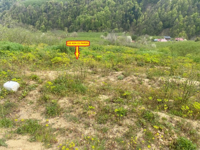 Düzce Cumayeri 12.150 M2 Muhtelif Arsa — foto 3