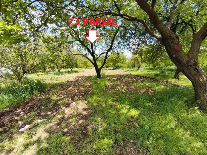 Malatya Akçadağ 2.551.04 M2  Tarla — foto 2