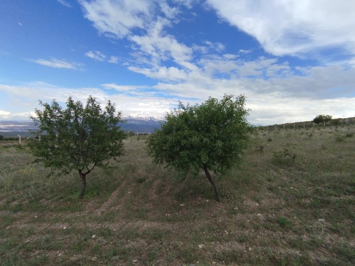 Kayseri İncesu 5124.98 M2 Tarla