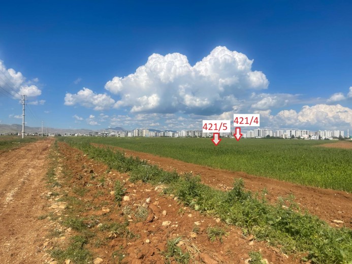 Mardin Kızıltepe  2064 M2  Muhtelif Arsa — foto 2