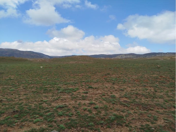 Ankara Gölbaşı 1186 M2  Muhtelif Arsa — foto 3