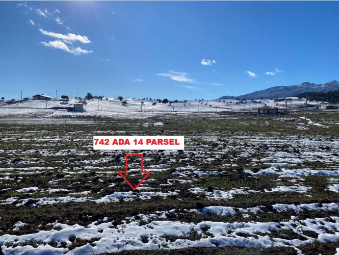 Muğla Seydikemer 1485 M2  Tarla — foto 4