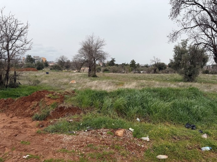 Denizli Merkezefendi 1650 M2 Muhtelif Arsa