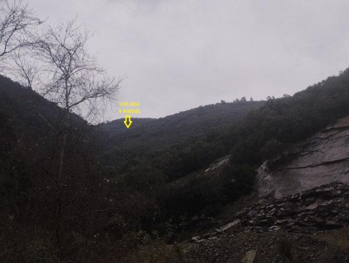İzmir Bayındır 5291.21 M2 + Zeytinlik — foto 2
