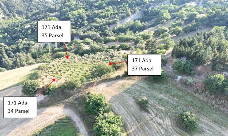 Denizli Babadağ 2.520 M2 Bağ — foto 6