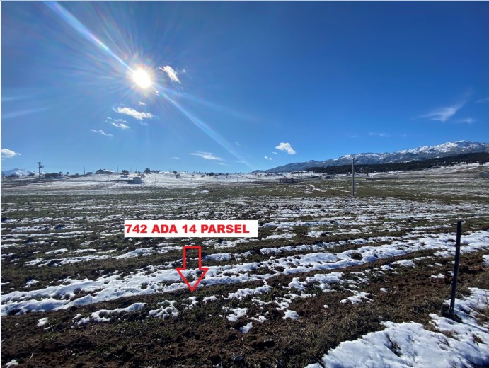 Muğla Seydikemer 1485 M2  Tarla — foto 2