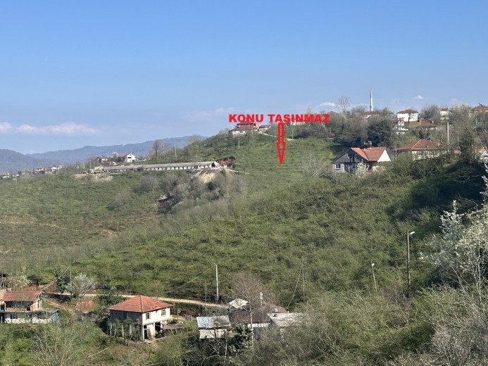 Düzce Akçakoca 14.263.94 M2 Fındıklık Bahçe — foto 4