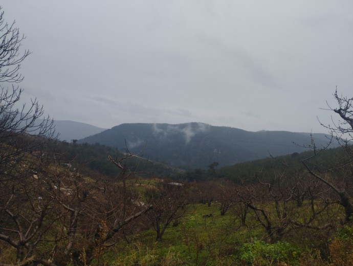 İzmir Bayındır 4050.81 M2 + Bahçe — foto 2