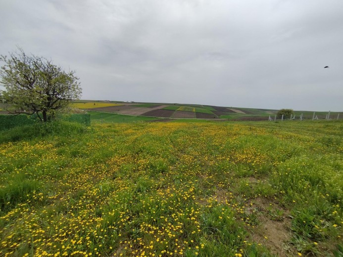 Tekirdağ Ergene 496 M2 + Bağ — foto 7