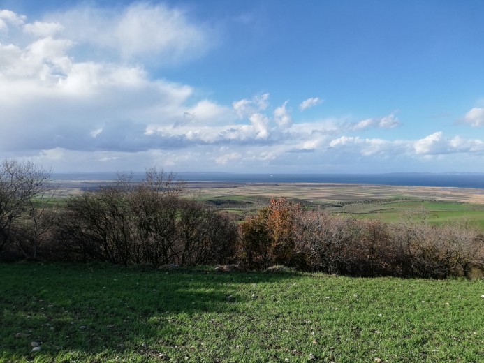 Balıkesir Bandırma 5550.00 M2 + Tarla — foto 4