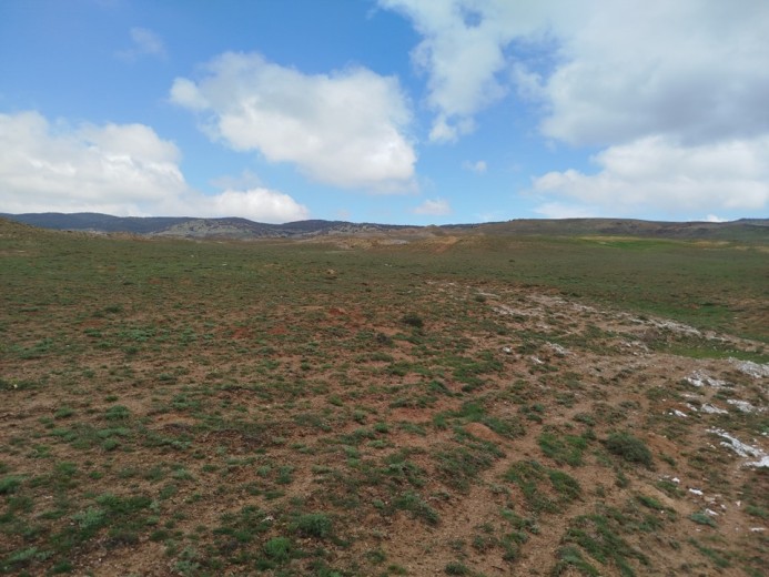 Ankara Gölbaşı 1186 M2  Muhtelif Arsa