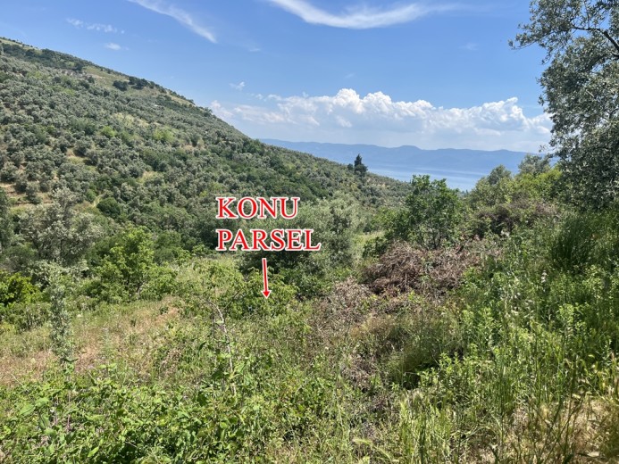 Bursa Orhangazi 5764.44 M2 Tarla — foto 2