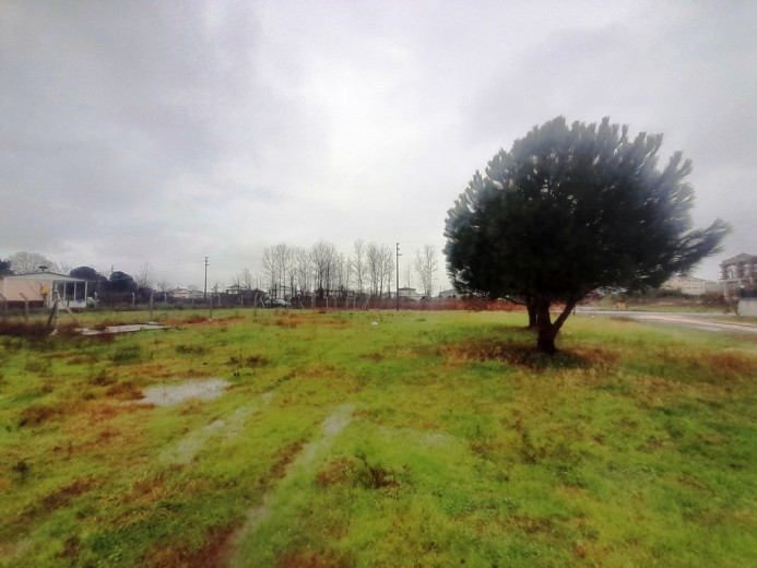 Samsun 19 Mayıs 522 M2 + Muhtelif Arsa — foto 5