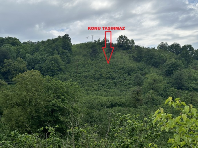 Düzce Merkez 6977,23 M2 Tarla — foto 6