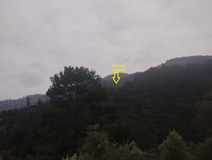 İzmir Bayındır 2157.45 M2 + Zeytinlik