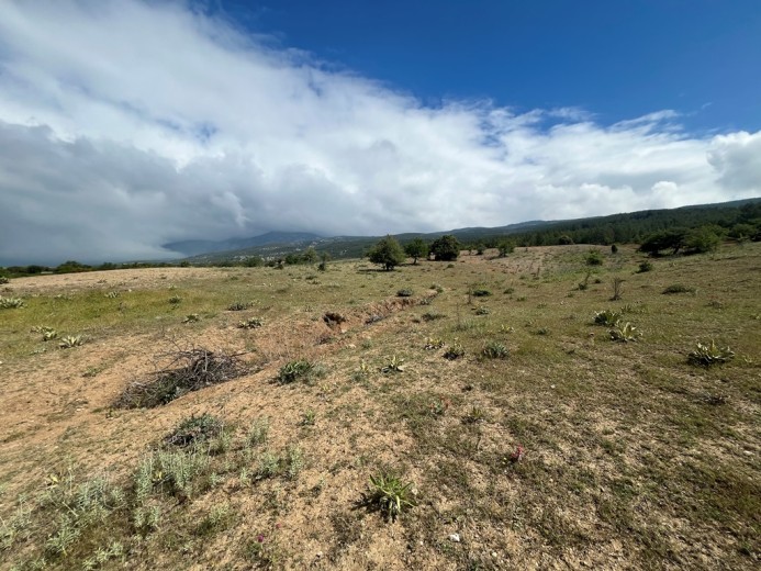 Denizli Serinhisar Satılık 7.166 M2 Arsa