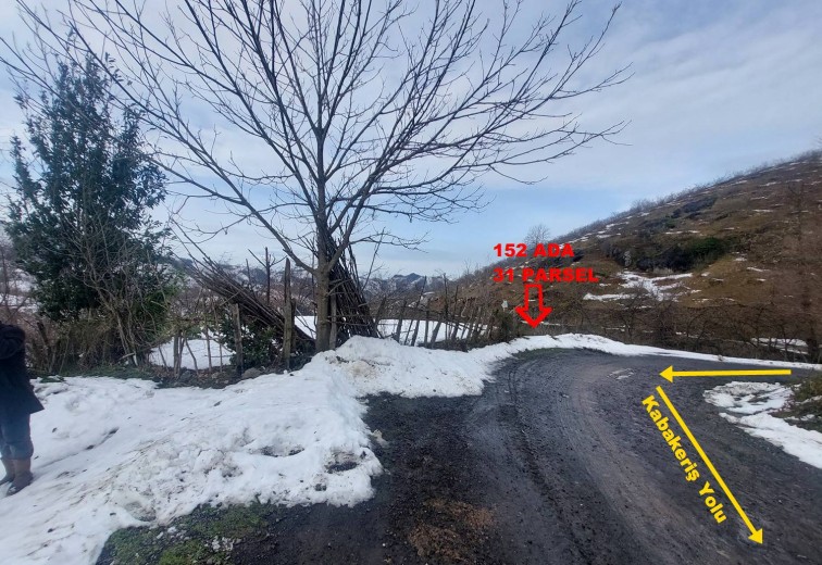 Ordu İkizce 6580,97 M2  Bahçe — foto 5