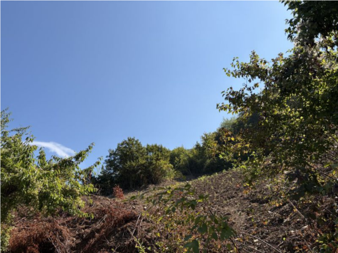 Kastamonu İnebolu 2307.59 M2 Muhtelif Arsa