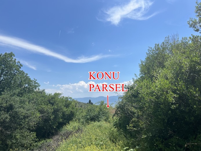 Bursa Orhangazi 5764.44 M2 Tarla — foto 3