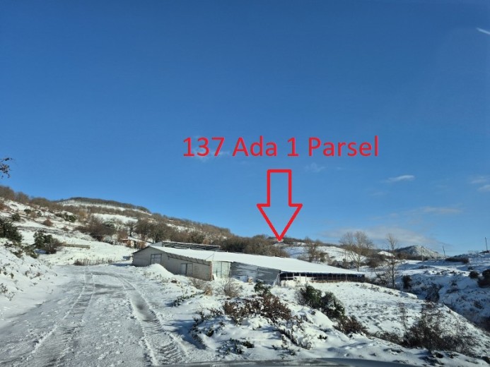 Balıkesir Gönen 2397.00 M2 Koyun Damı Ve 7.456,57 M2 Tarla — foto 7