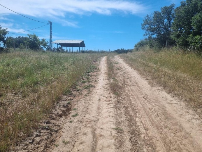 İstanbul Silivri 3428 M2 Tarla — foto 3