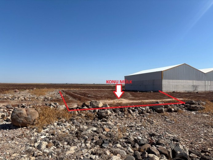 Şanlıurfa Viranşehir  M2 + Muhtelif Arsa — foto 3