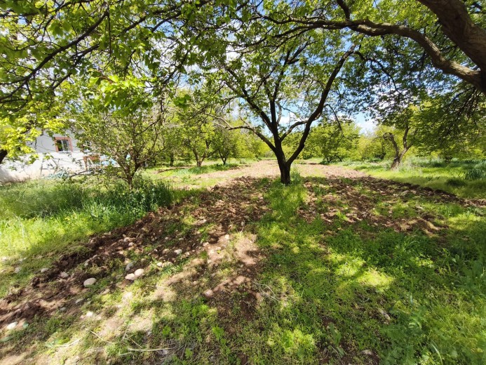 Malatya Akçadağ 2.551.04 M2  Tarla