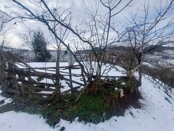 Ordu İkizce 6580,97 M2  Bahçe — foto 3