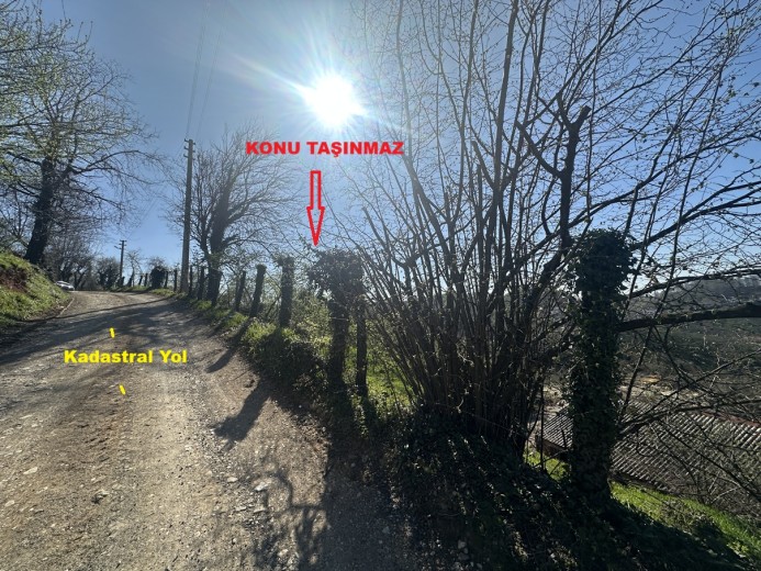 Düzce Akçakoca 14.263.94 M2 Fındıklık Bahçe — foto 9