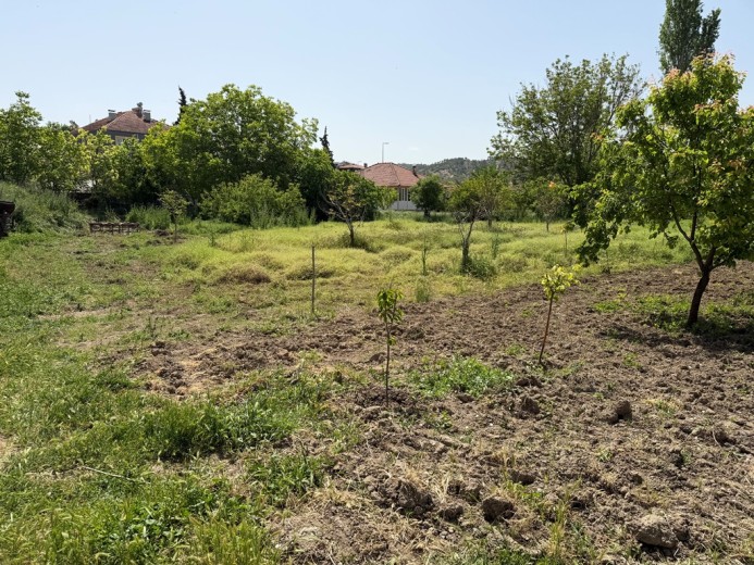 Denizli Honaz  678m2 + Muhtelif Arsa — foto 4