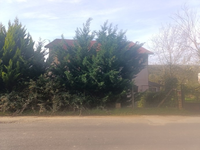 İstanbul Beykoz Satılık Villa — foto 9